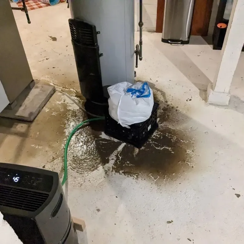 Sewage Backup Cleanup Service in Five Points, FL